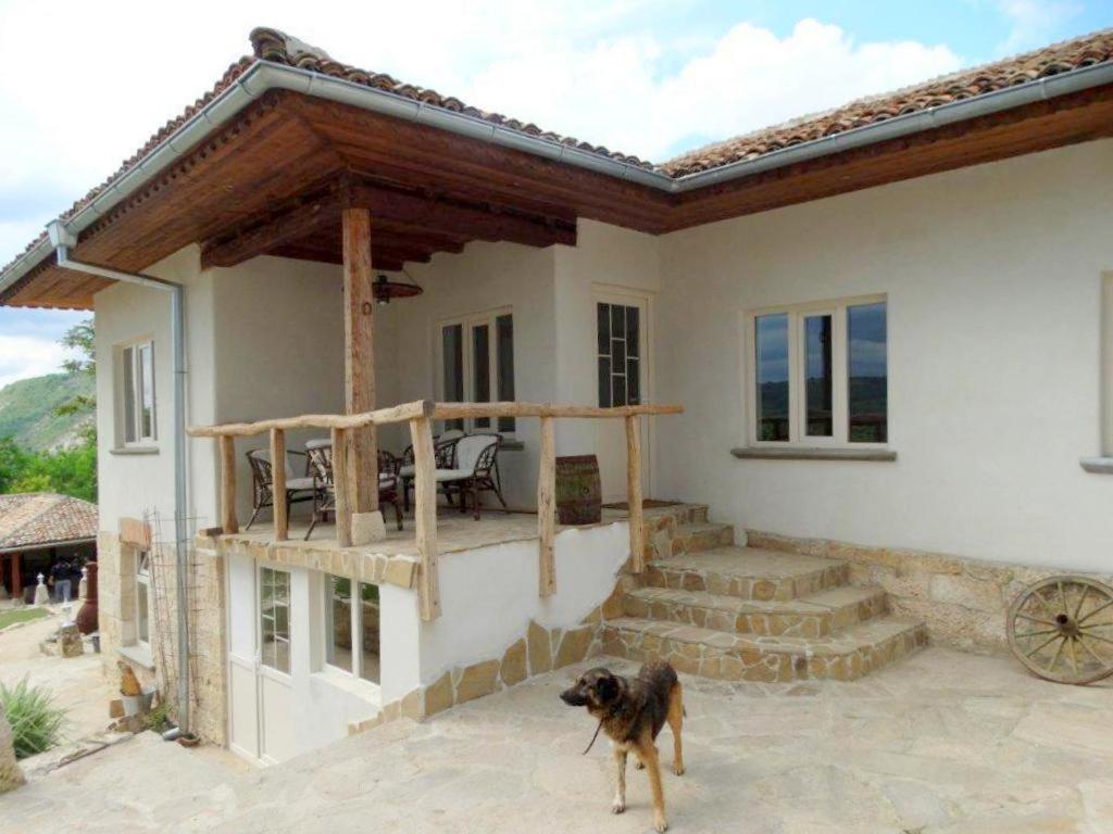 Guest House Biekorf Kostandenets Esterno foto
